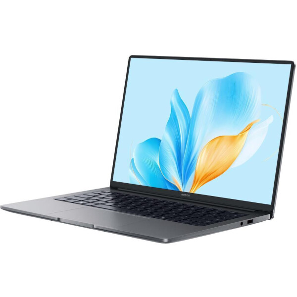 Ноутбук HONOR MagicBook X14 2025 FRG-X 5301ALWJ