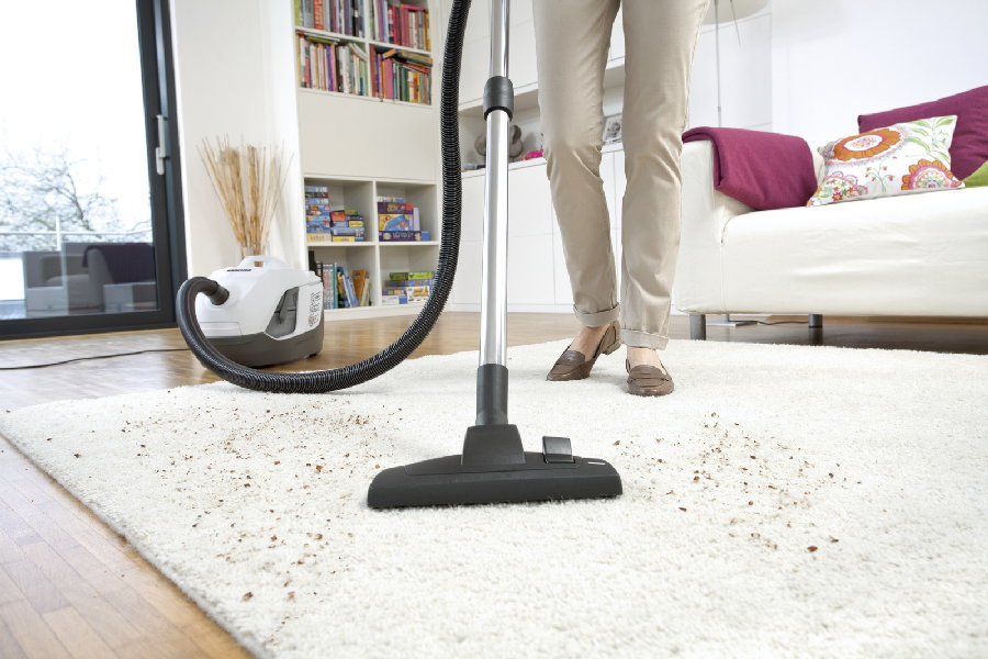 Пылесос Karcher DS 6 Plus 1.195-252.0