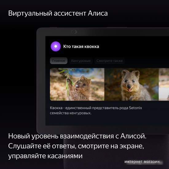 Колонка с умным дисплеем Яндекс Станция Дуо Макс (красный)
