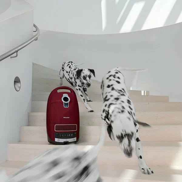 Пылесос Miele Complete C3 Cat & Dog Flex SGEF5 (оранжевый)