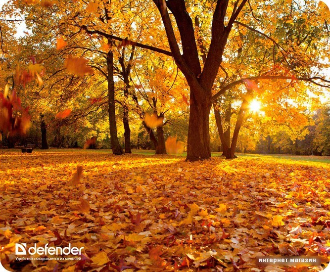 Коврик для мыши Defender Silk Pad Nature (50707)