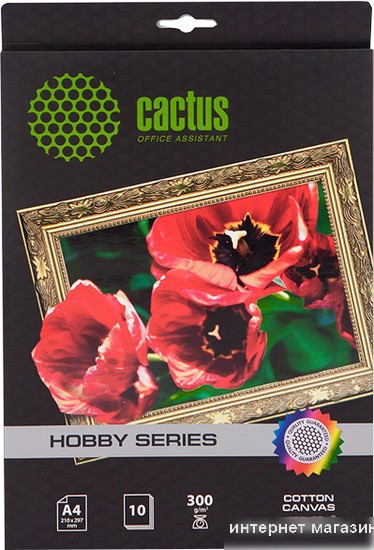 Холст CACTUS Хлопковый холст A4 300 г/кв.м. 10 листов (CS-СA426010)