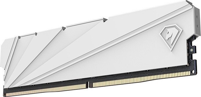 Оперативная память Netac Shadow S 8ГБ DDR4 2666 МГц NTSSD4P26SP-08W