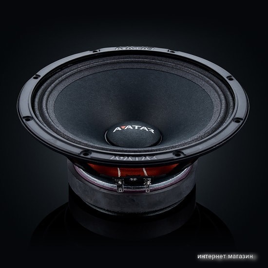 Среднечастотная АС Avatar MTU-61LE