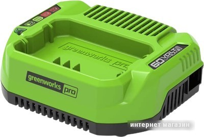 Зарядное устройство Greenworks G60UC (60В)