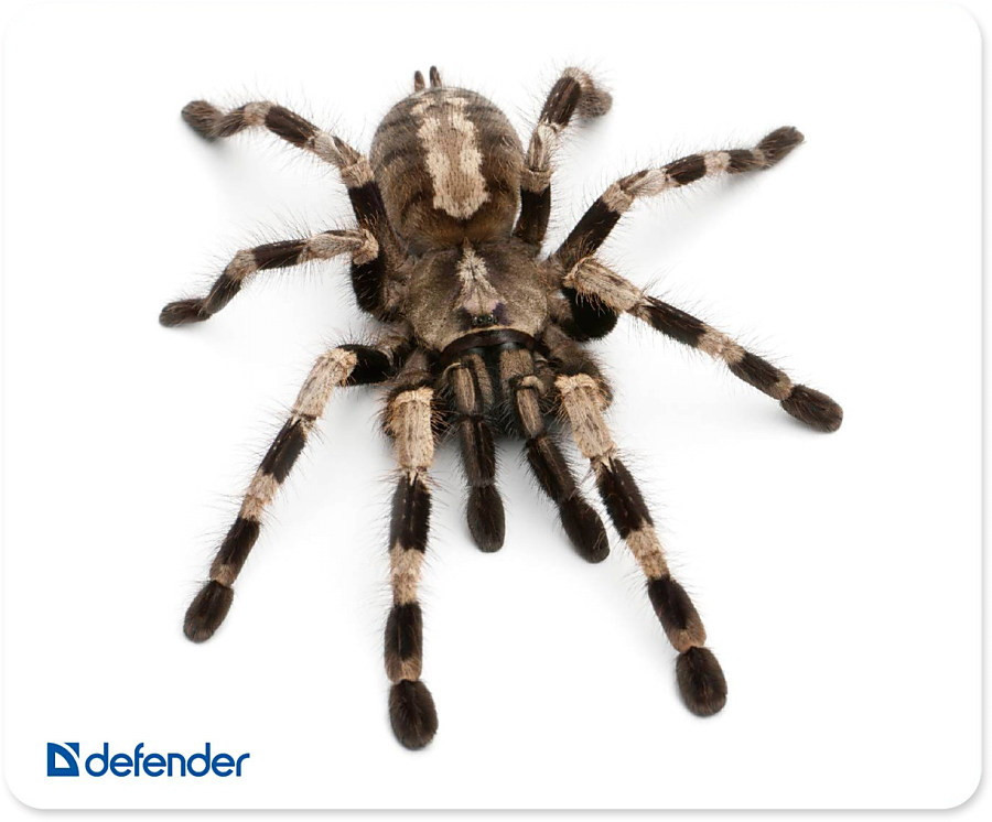 Коврик для мыши Defender Silk (50706)