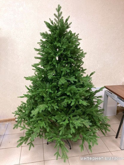 Ель GreenTerra Раскидистая Премиум 2.1 м