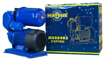 Насосная станция Mateus TGP 125
