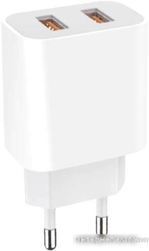 Сетевое зарядное GoPower 00-00018570