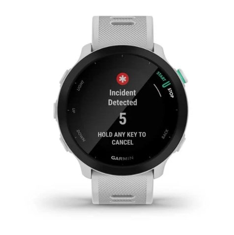 Умные часы Garmin Forerunner 55 (белый)