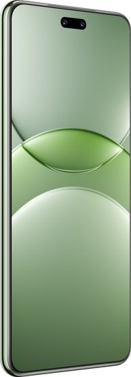 Смартфон Huawei nova 13 Pro MIS-LX9 12GB/512GB (дымчатый зеленый)