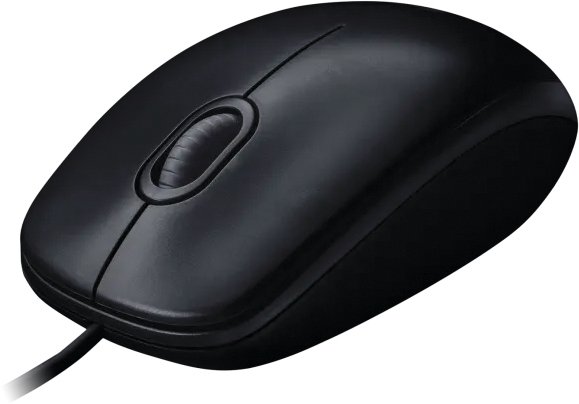 Мышь Logitech M100R
