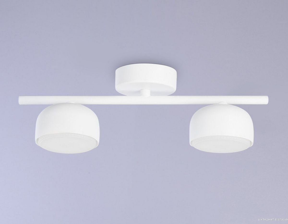 Ambrella light Techno Spot TN71022/2 WH (белый)