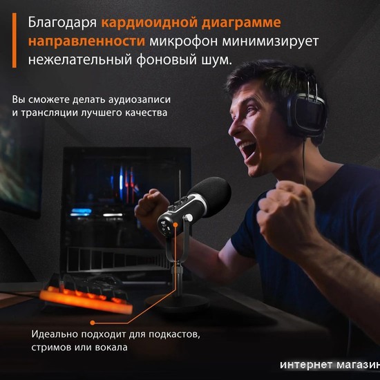 Проводной микрофон SunWind SW-SM500G
