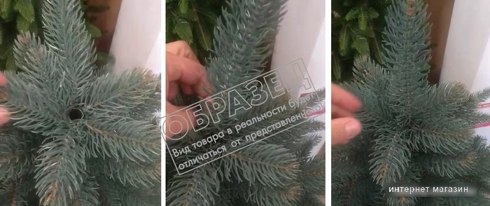 Ель Бифорес Венера микс 2.2 м (темно-зеленый)