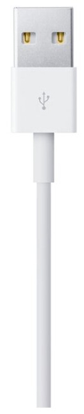 Кабель Apple Lightning to USB 0.5 м (белый) [ME291ZM/A]