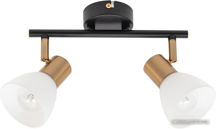 Спот Arte Lamp Falena A3117PL-2BK