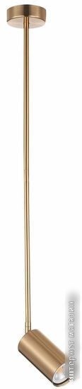 Подвесная люстра ST Luce Sormano SL1206.303.01