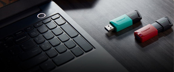 USB Flash Kingston DataTraveler Exodia M 256GB