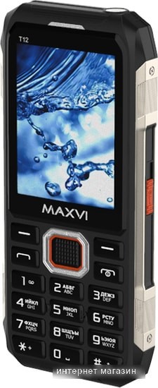 Мобильный телефон Maxvi T12 (черный)