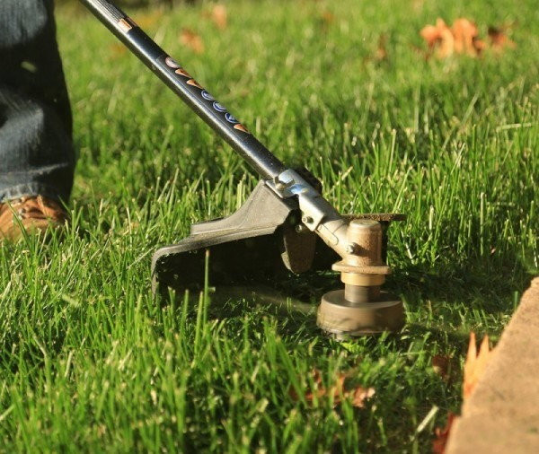 Триммер аккумуляторный Greenworks GD40BC (без АКБ)