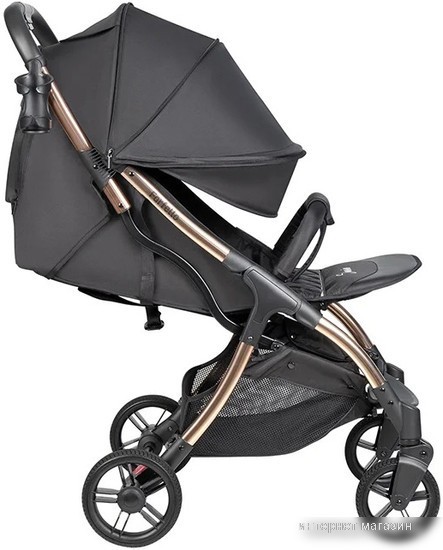 Коляска прогулочная «книга» Farfello Sunrise FS-002 (черный/золото)
