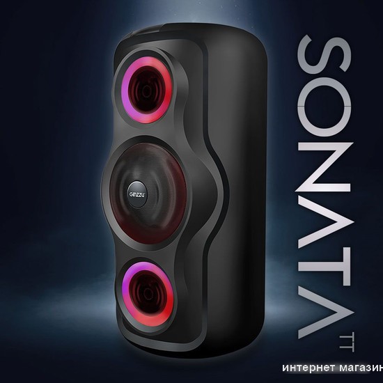 Беспроводная колонка Ginzzu Sonata GM-233