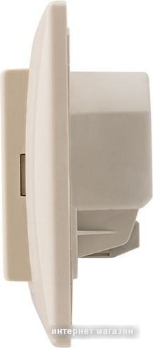 Терморегулятор Rexant RX-419B 51-0585 (бежевый)