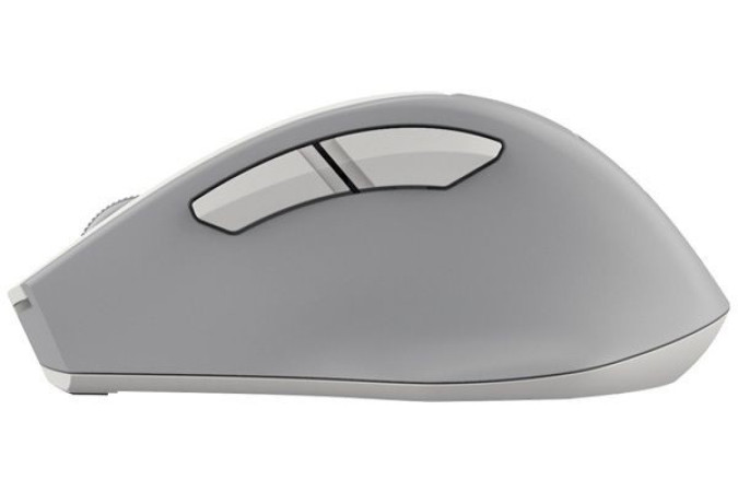 Мышь A4Tech Fstyler FG30S (серый/белый)