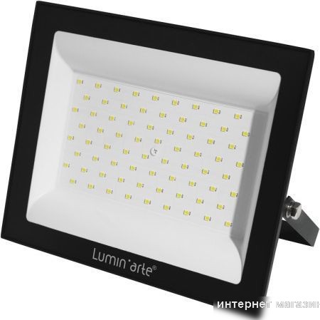 Уличный прожектор Luminarte LFL-100W/06