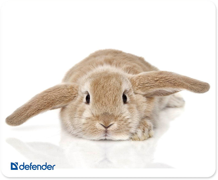 Коврик для мыши Defender Silk (50706)