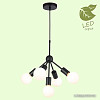 Подвесная люстра Lussole LGO GRLSP-8271