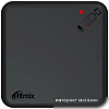 Диктофон Ritmix RR-220 16Gb