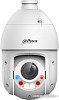 IP-камера Dahua DH-SD4E425GB-HNR-A-PV1