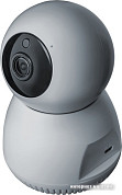 Поворотные IP-камеры 