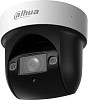 IP-камера Dahua DH-SD29204DB-GNY-W
