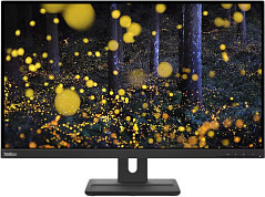 Мониторы Lenovo 