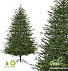 Ель GreenTerra Вилтони 1.8 м