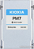 SSD Kioxia PM7-R 3.84TB KPM71RUG3T84