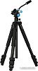 Zarrumi Arrow Pro 250