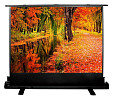 Проекционный экран CACTUS FloorExpert 150x200 CS-PSFLE-200X150