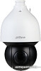 IP-камера Dahua DH-SD5A245GB-HNR