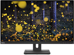 Мониторы Lenovo 