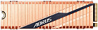 SSD Gigabyte Aorus NVMe Gen4 500GB GP-ASM2NE6500GTTD