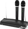Микрофон Ritmix RWM-210