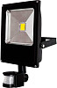 Прожектор Glanzen FAD-0011-20 6000K