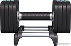 Гантель Proiron ГБ1100Р (10 кг)