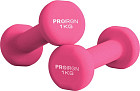 Набор гантелей Proiron Г2010РНЕО (2 шт)
