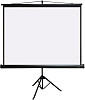 Проекционный экран PL Magna TRM-NTSC-100D