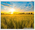 Проекционный экран Lumien Eco Picture 183x244 LEP-100114
